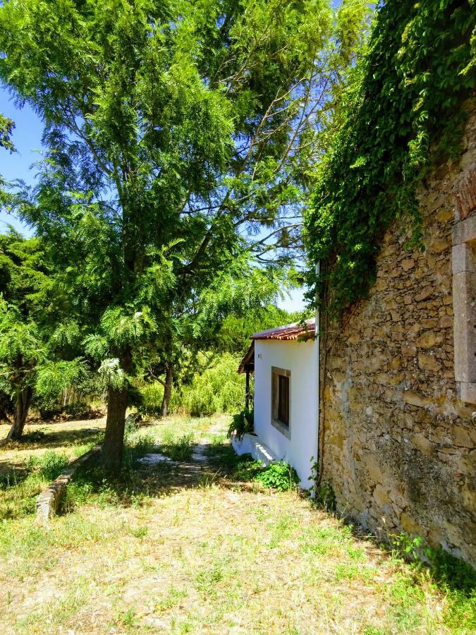 Quinta Da Galeana Dreaming Bed & Breakfast Lourinha  Bagian luar foto